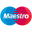 Footer 6 (Home 6) Pay Logo 9