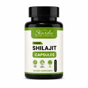 shilajit capsule